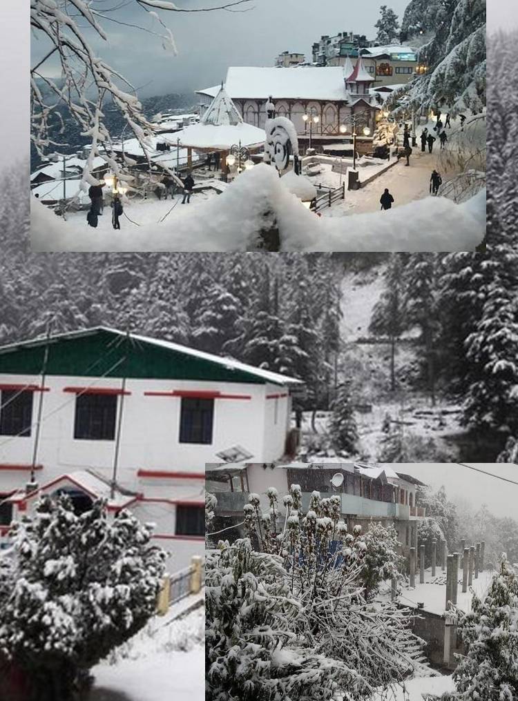 Snowfall in Himachal Pradesh