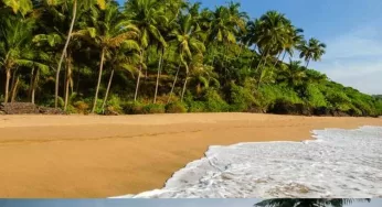 How To Go Goa, Travel Guide in Hindi: गोवा कैसे जाएं, कहां ठहरें, गोवा घूमने का बेस्ट टाइम और बजट क्या है? सभी सवालों के जवाब