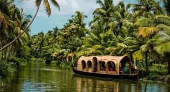 Kerala Travel Tips in Hindi: केरल जाने से पहले जान लें ये जरूरी बातें, बेस्ट टाइम और बजट