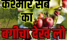 Watch video Hidden Gems of Kashmir Unique Apple Varieties Gulmarg Baramulla